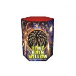 Time Rain Willow 19Shots